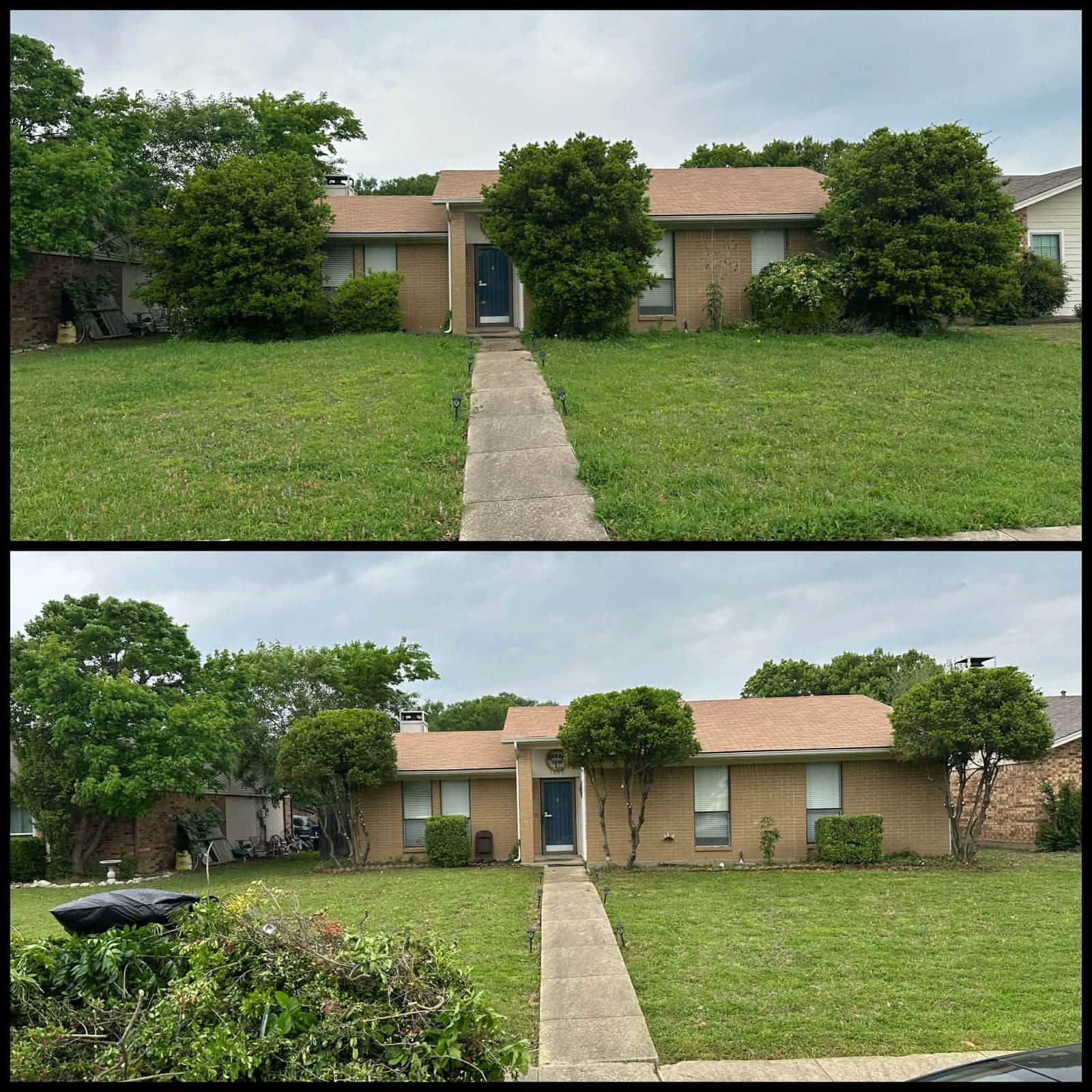 Full yard cleanup, before and after