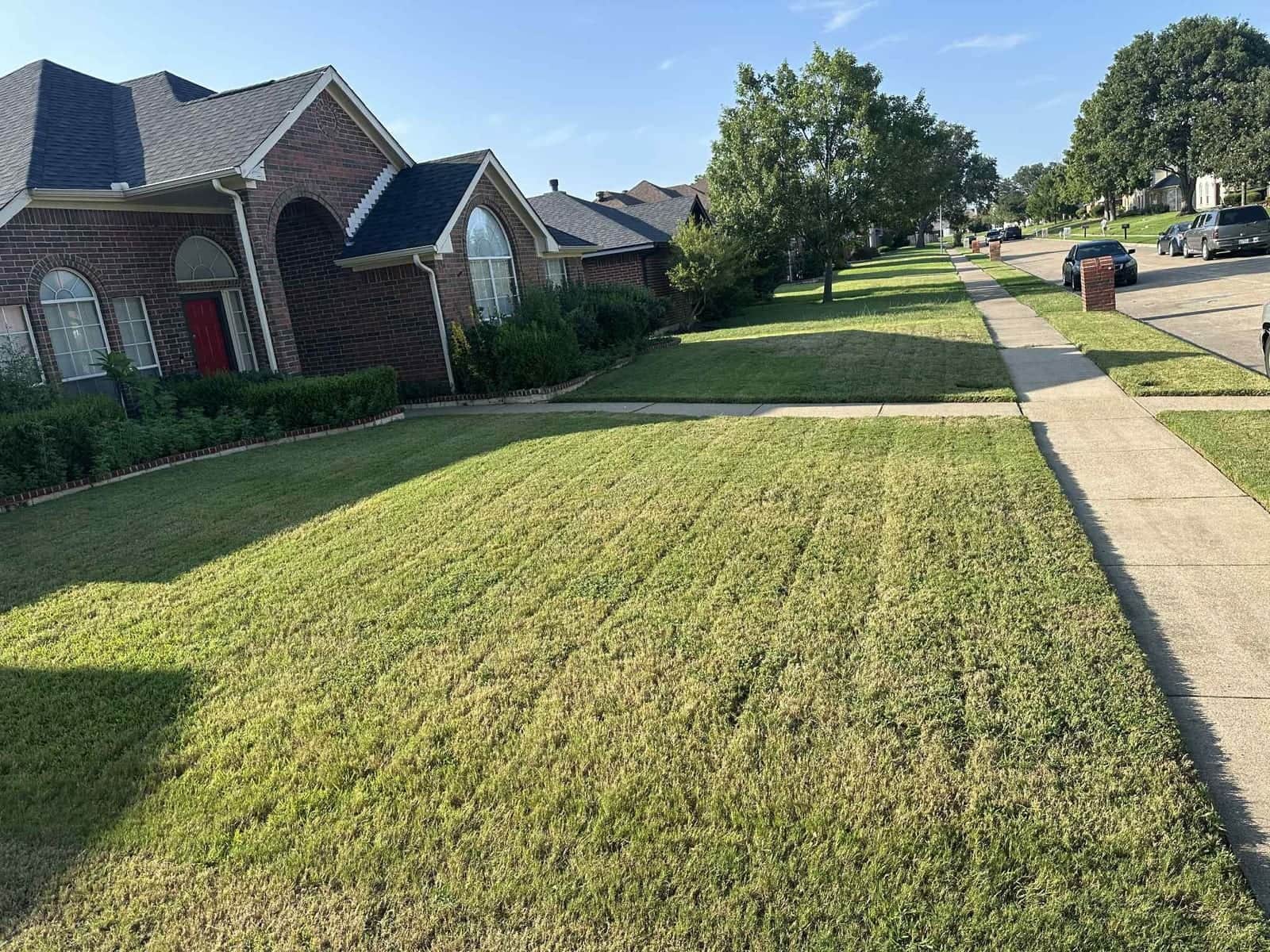 Freshly mowed front yard