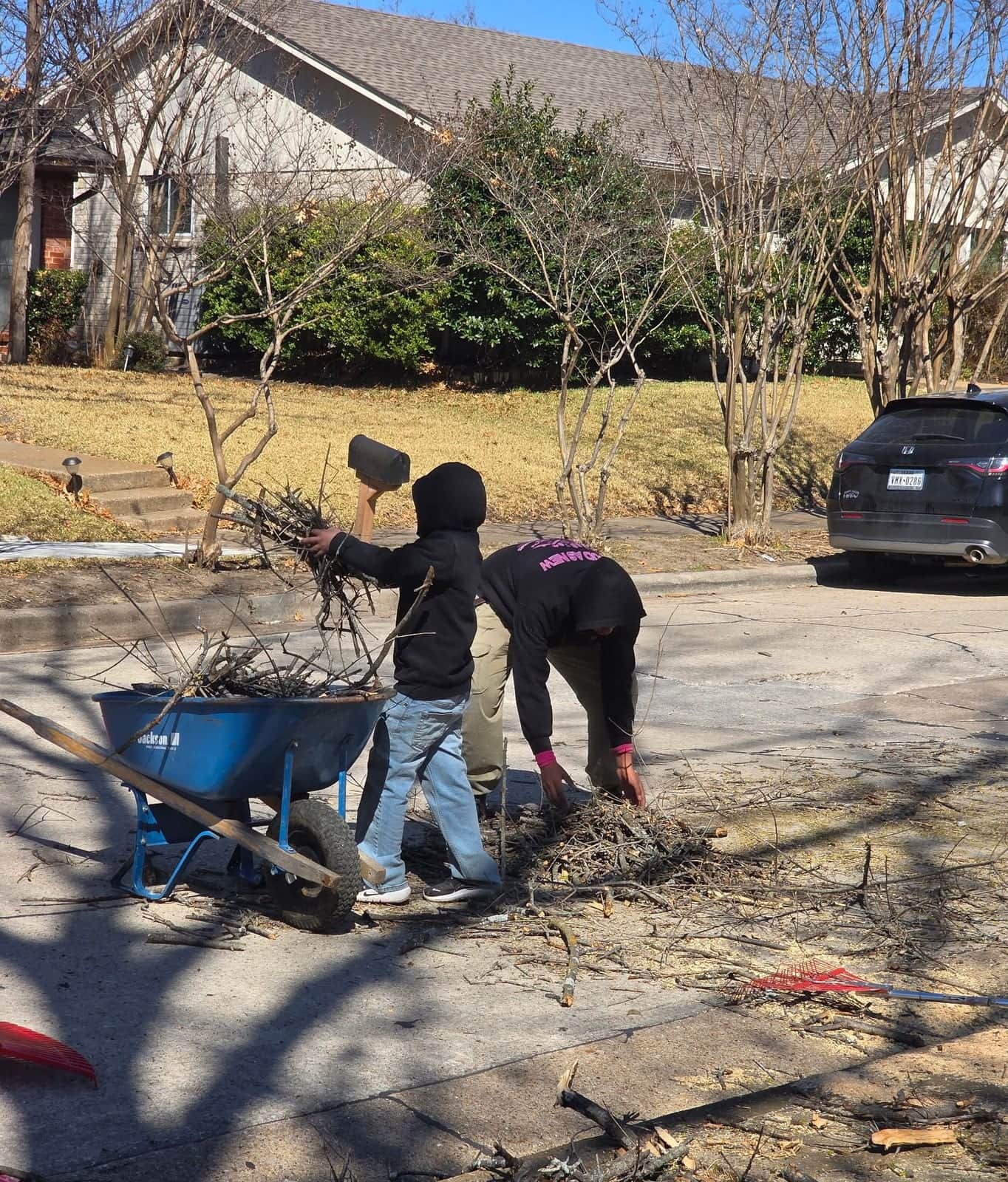 Yard debris cleanup