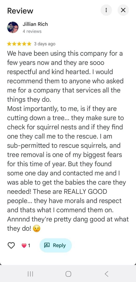 Google review from Jillian Rich