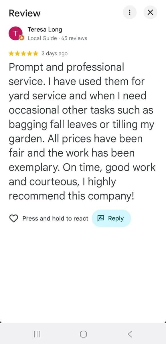 Google review from Teresa Long