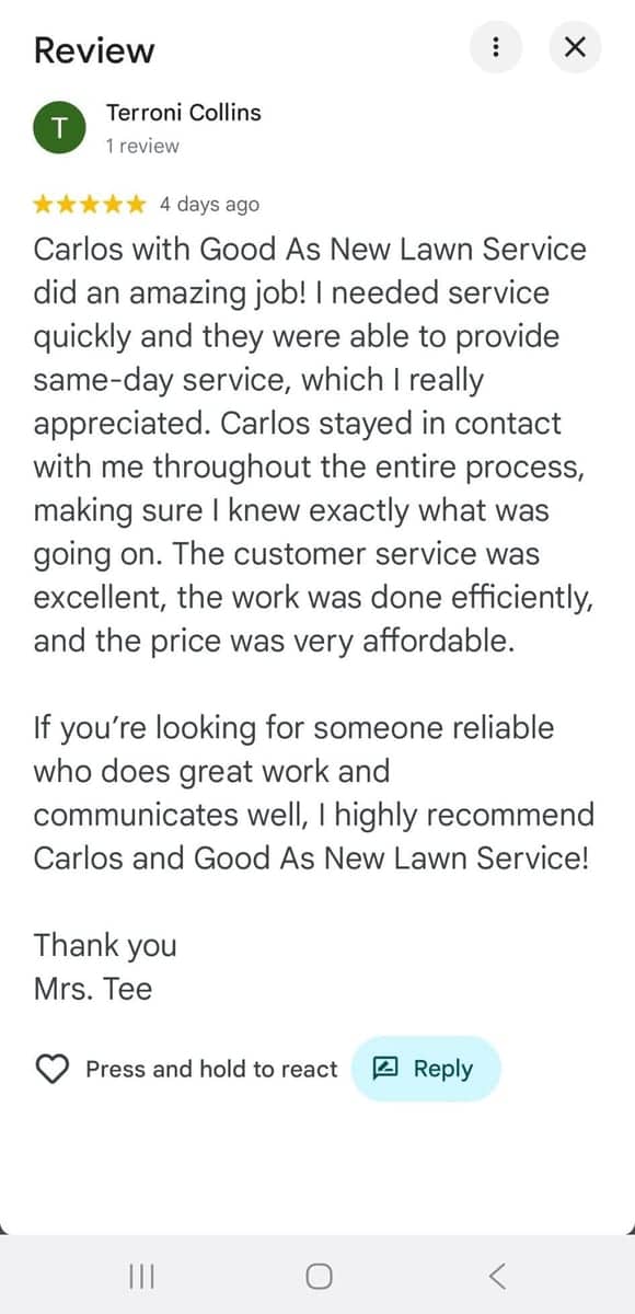 Google review from Terroni Collins
