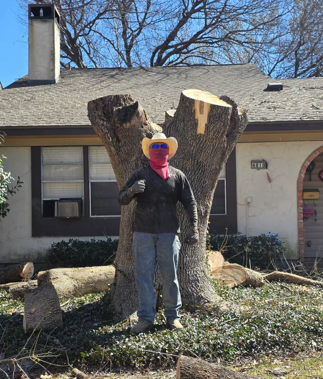 Carlos with a large tree stump