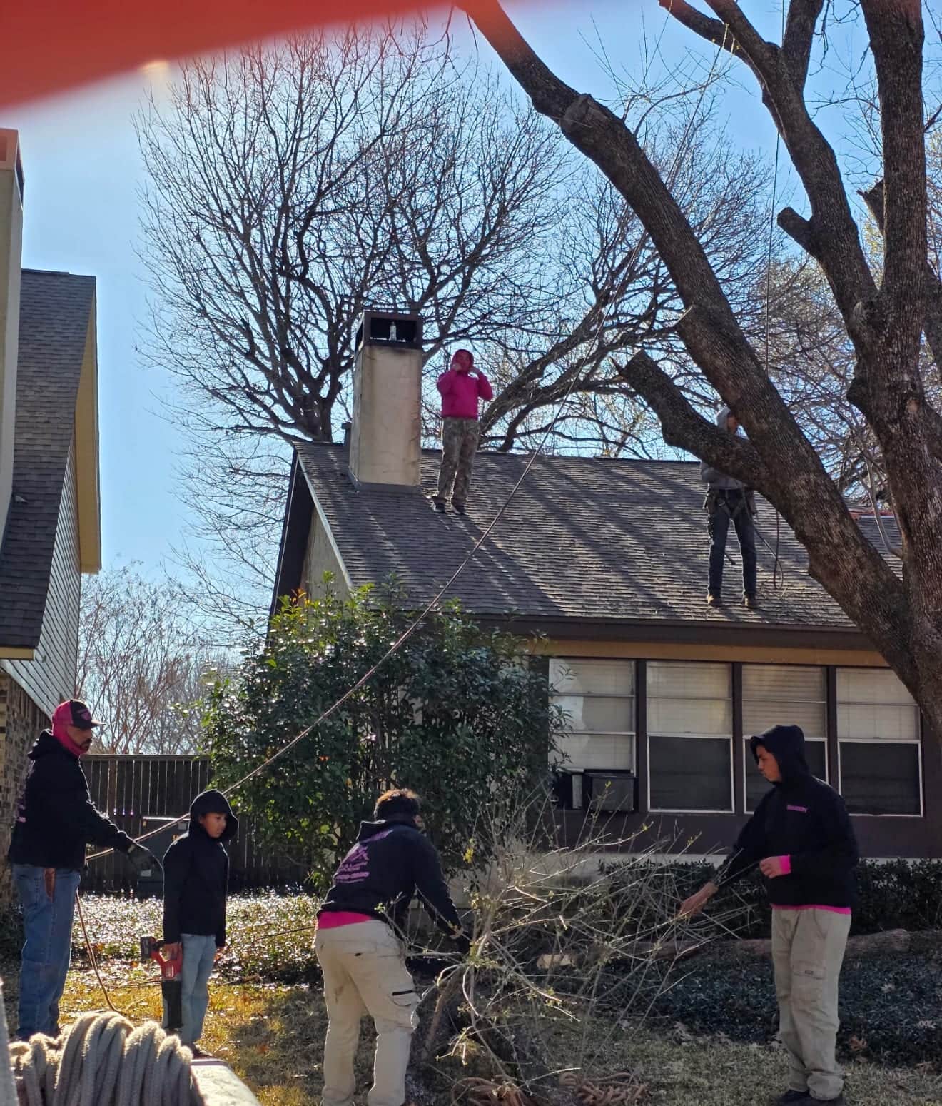 Good As New crew and young workers on a tree removal job
