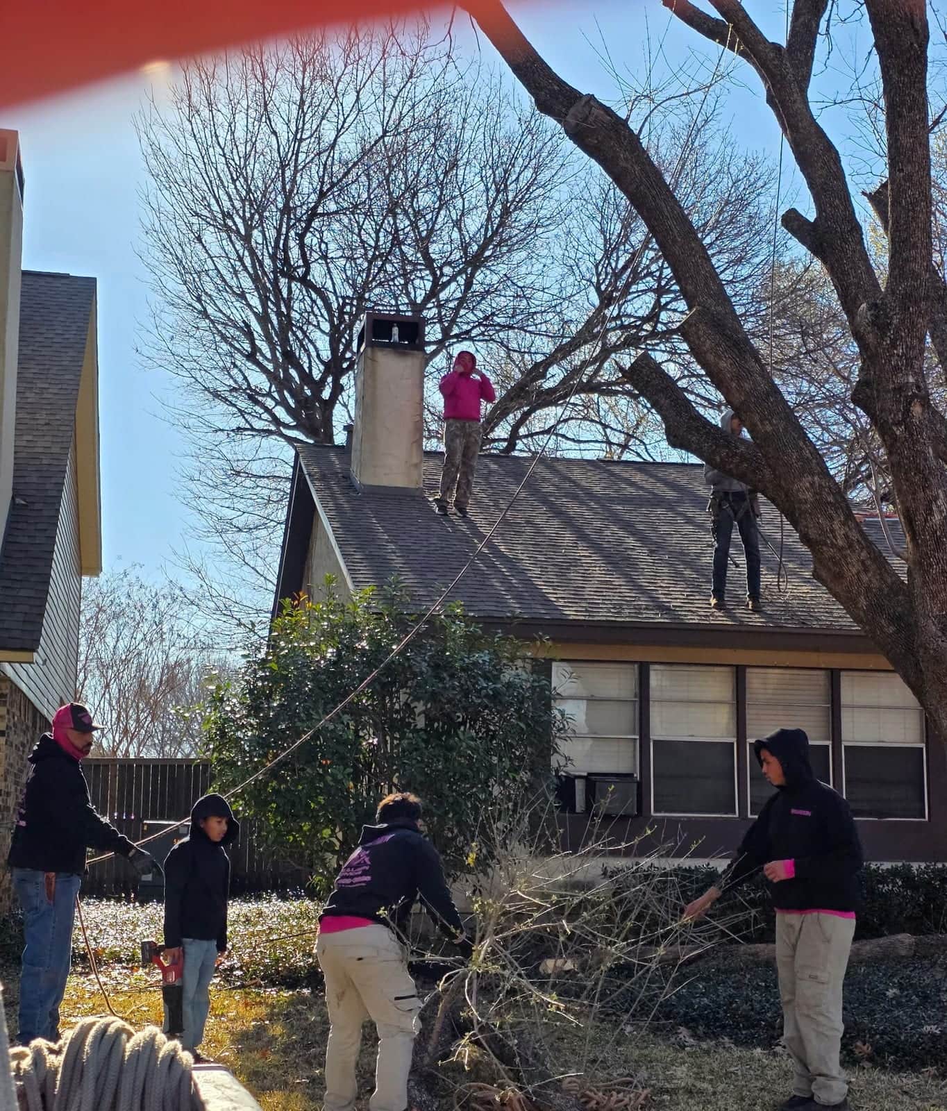 Crew clearing branches off a roof
